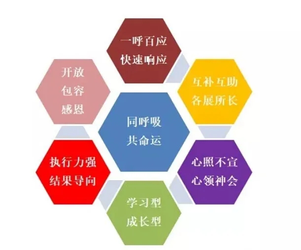 J9国际站备用【唯一】官方网站